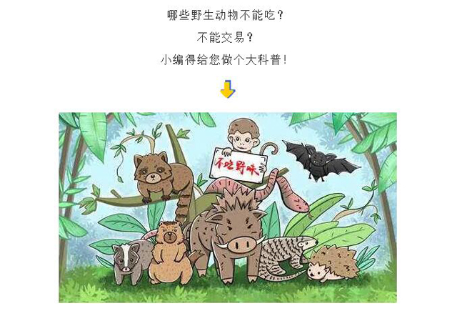 博彩平台