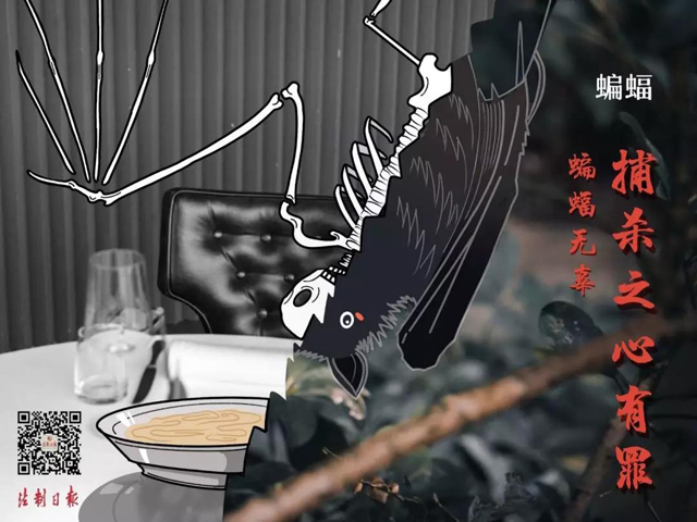 博彩平台