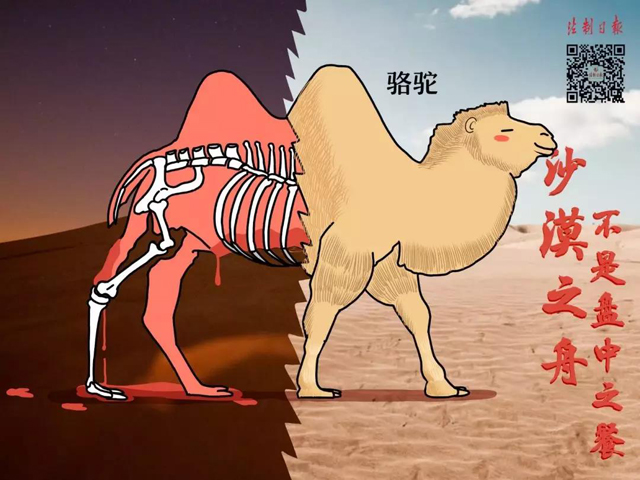 博彩平台