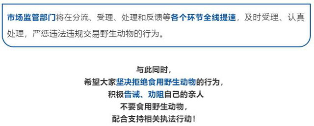 博彩平台