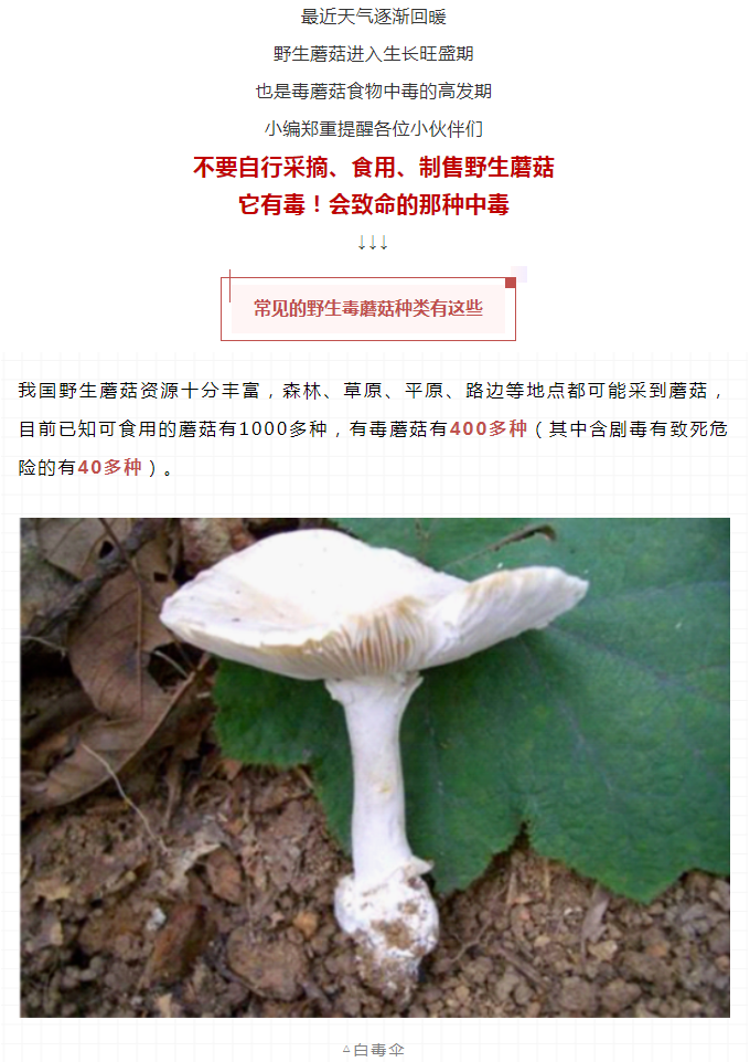 博彩平台