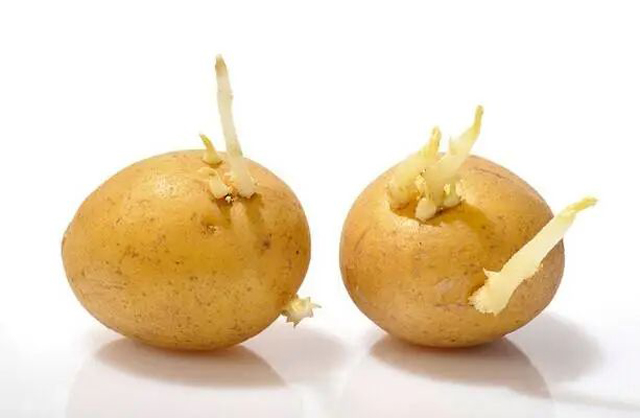 博彩平台