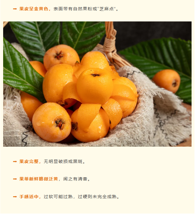 博彩平台